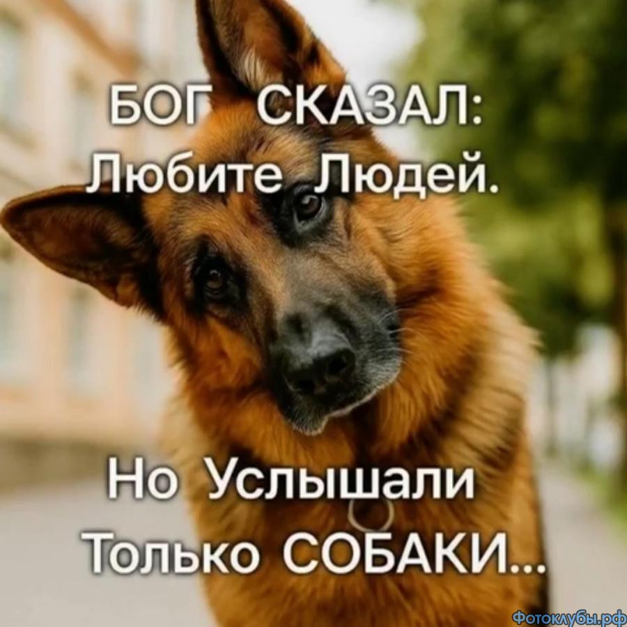 И снова юмор