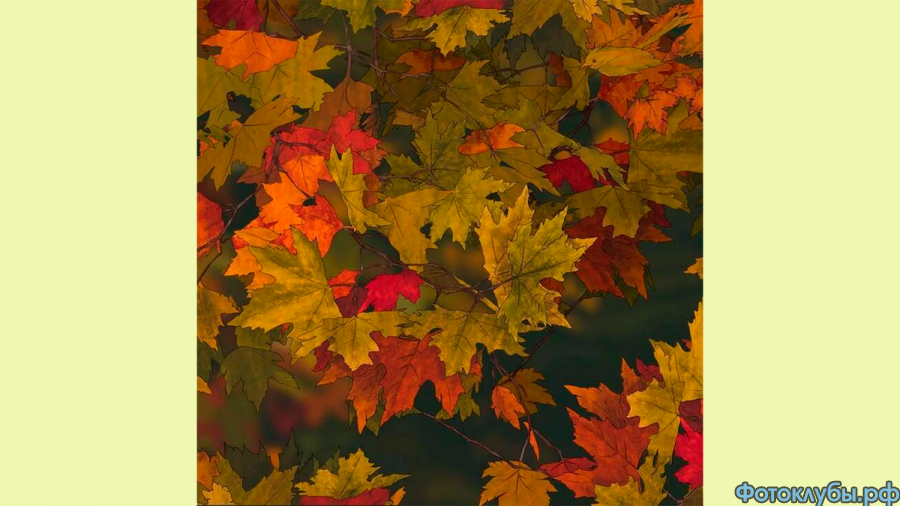 СПРЯТАВШИЕСЯ