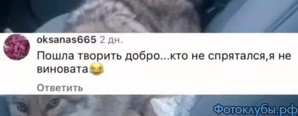 Как вам такое?..