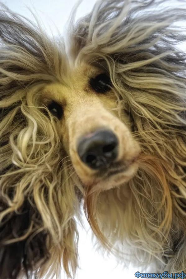 Немного юмора