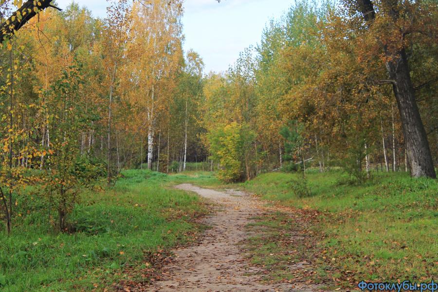 Дорога в осень