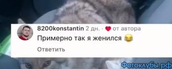 Как вам такое?..